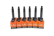 Pack of SWAN Ignition Coils & NGK Spark Plugs for Toyota FJ Cruiser