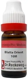 Dr. Reckeweg Blatta Orientalis 10M CH (11ml)- Pack Of 1 Bottle