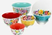 Pioneer Woman ~ Ten (10) Piece Nesting Bowl Set ~ Melamine ~ Sweet Romance