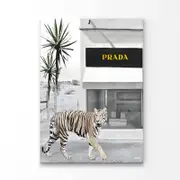 Tiger Fashion Store Print 100% Australian Made 100 x 150cm (Acrylic)