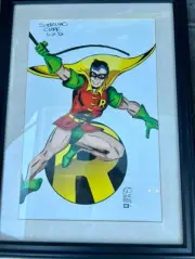 DC Comics Robin The Boy Wonder Art Framed