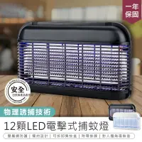 在飛比找PChome24h購物優惠-【KINYO 12顆LED電擊式捕蚊燈 KL-8121】【A