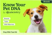 Know Your Pet DNA by Ancestry: Dog DNA Breed Identification Test, Genetic Traits