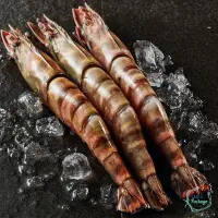 在飛比找蝦皮購物優惠-巨無霸【菲律賓虎蝦】#巨無霸 #超大尺寸 #海草蝦 #烤肉 