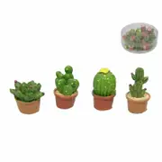 Miniature - Cactus Pot