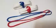 Hammock becket hitch kit with dyneema webbing red and blue
