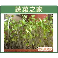 在飛比找蝦皮商城精選優惠-蔬菜之家滿額免運【00J03】大包裝J03.青花菜芽種子(青