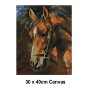 DIY Paint by Numbers Craft Painting Kit 30x40 Canvas Horse Profile