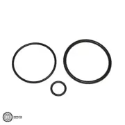 NEW GE WS35X10001 O-RING SEAL KIT OEM