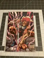 Thundercats #4 J Scott Campbell Artist EXCLUSIVE Cover B Virgin Ltd 500 SOLD OUT