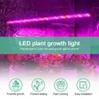 HG LED Grow Lights For Indoor Plants Full Spectrum Linkable 5000K Daylight/62 6