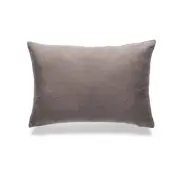 Winter Gray With Feather Down Insert Pillow