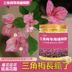 【臺灣出貨】三角梅肥料 花肥 傢用 有機肥 開花肥 綠葉專用肥 緩釋肥 氮磷鉀 促進生長 肥料