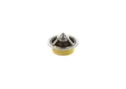 New DAYCO Thermostat to fit Ford Fairmont 1996-1998 (for: Ford)