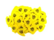 Dunlop Guitar Picks 72 Picks Tortex Fins .73mm Yellow