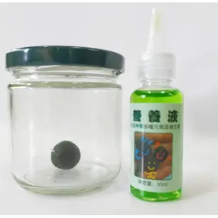 親子DIY 生態瓶 水草瓶 綠藻球 辦公桌裝飾 辦公室 療癒小物 綠球藻 花園鰻 團體 生日 交換禮物 聖誕禮物