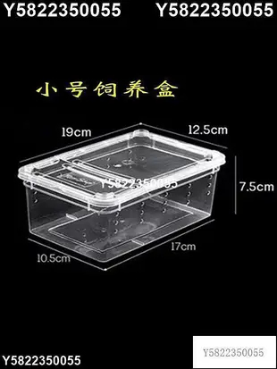 熱賣現貨◆速出蝸牛盒子寵物飼養箱白玉蝸牛小中大號專用養殖盒爬蟲爬寵窩防逃逸