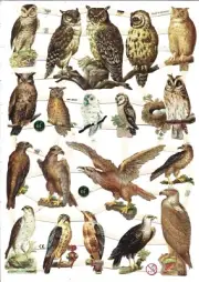 German SILVER GLITTER Scrap Die Cut - Birds / Owls/ Birds Of Prey EF7333G