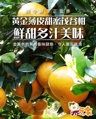 果之家 台灣黃金薄皮爆汁27A特級茂谷柑3台斤 (7折)