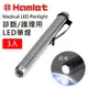 (3入組)【Hamlet 哈姆雷特】Medical LED Penlight 診斷/護理用LED白光瞳孔筆燈 【H072-W】 白光