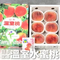 在飛比找蝦皮商城精選優惠-【綠之果物】日本水蜜桃 原裝禮盒 5-6玉 水蜜桃 日本空運
