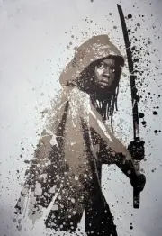 The Walking Dead Michonne Metal Displate Wall Art