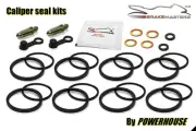 Kawasaki Ninja 1000 GCF 2012 front brake caliper seal rebuild repair kit ZX1000