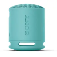 在飛比找momo購物網優惠-【SONY 索尼】SRS-XB100(防水藍牙喇叭)