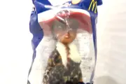 McDonalds 2003 BRATZ SASHA Doll