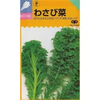 在飛比找蝦皮購物優惠-【大包裝蔬菜種子L011】山葵菜~~有山葵風味而得名。適合生