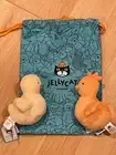 Jellycat FLUFFY CHICKEN & DUCK Soft Plush Toy Jelly Cat Stuffed NWT NEW & BAG