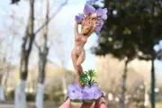 6.4" Natural amethyst Life Tree Resin woman reiki Crystal Decor carved gift 1pc