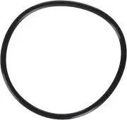 Zodiac R0480200 Lid O-Ring , Jandy FloPro FHPM Series Pump