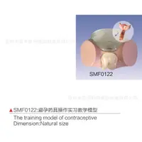 在飛比找蝦皮購物優惠-SMF0122避孕藥具操作實習教學模型