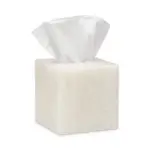 Pigeon & Poodle Abiko Tissue Box