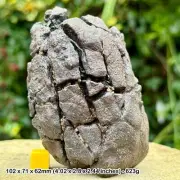 623g Genuine H5 Common Chondrite Meteorite from Northwest Africa, Morocco -