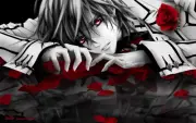 Anime Freezing anime vampire knight rose dark Custom Gaming Mat Desk 1085