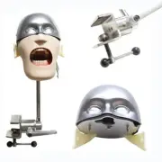 Dental Manual Manikin Simulator Phantom Head Model for Dentist Student Training