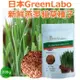 【三吉米熊】日本GreenLabo寵物燕麥貓草種子栽培包200g/貓草零食(狗狗貓貓都適合吃)