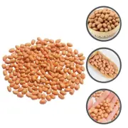 Artificial Lifelike PVC Shopwindow Decorative Simulation Peanut Kernels
