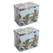 2x Citrus 16cm Metal Tin Home/Kitchen Decorative Canister Storage Organiser Box