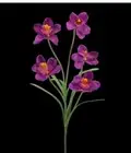 Artificial cymbidium orchid stem