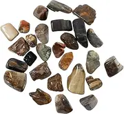 The Chrysalis Stone | Tumbled Stones | Petrified Wood | 1/2 LB | Bulk Crystals, Healing Stones, Spiritual Gifts for Women, Reiki, Chakra, Witchcraft, Yoga, Meditation Accessories