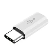 100% Brand New Superior Quality Good Quality Portable 1x Micro to Type C Adaptor