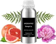 AROMAPRO 100% Pure Aroma Oil – Luxury Citrus Floral Scent Inspired by Shangri-La Hotels – Orange, Peony, Cedar & Powdery Notes – Uplifting & Elegant Fragrance Oil (120 ml, Shangri-La (Inspired by Shangri-La Hotel))