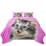 Adorable Painted Cats Baby Blue Eyes Grey Kitty Coverlet