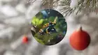 Poison Dart Frog Ornament