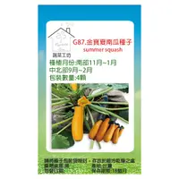 在飛比找PChome24h購物優惠-G87.金寶夏南瓜種子(黃櫛瓜.節瓜.嫩南瓜.美國南瓜) 4