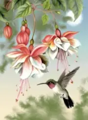 Fuchsia and Hummingbird - Counted Cross Stitch Pattern- Chart Needlework DIY
