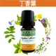 《歐丹尼》印度【丁香葉純精油10ml-50ml】單方純精油Colve Leaf《歐丹尼》